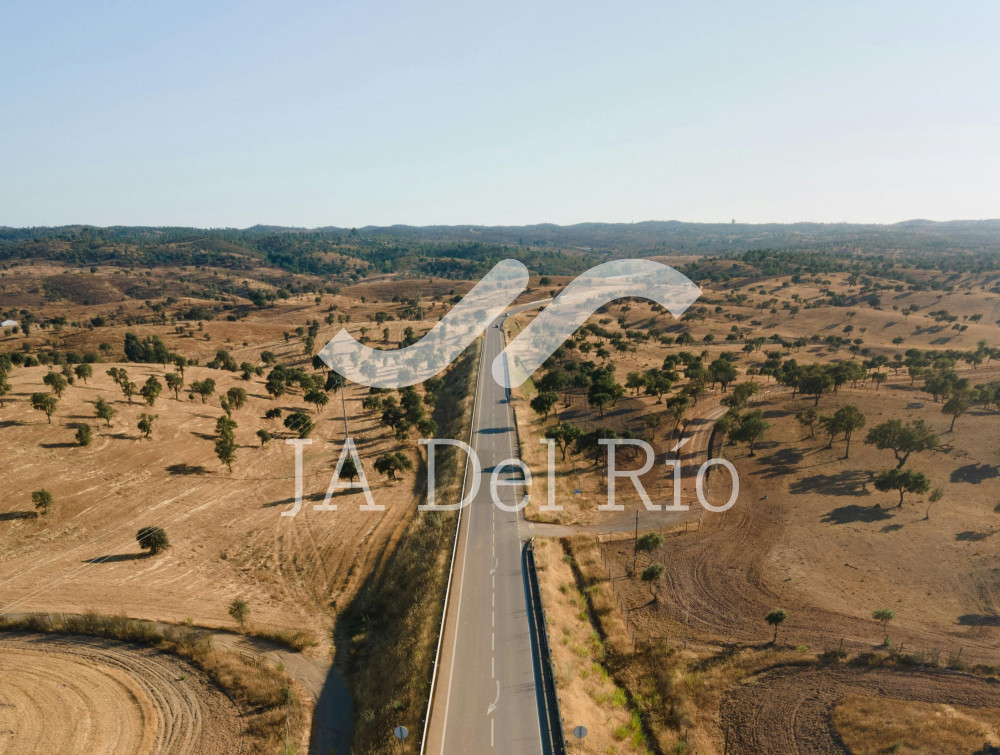 Flash News – News of the week in CR regarding fiscal rule, the falling dollar, and the signing of commercial agreements