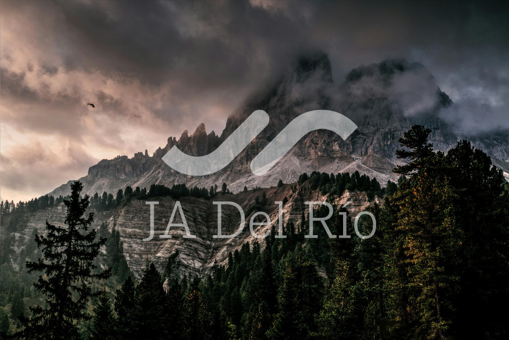 Cancelación de Programas IMMEX por reporte anual 2024 no presentado y otros incumplimientos