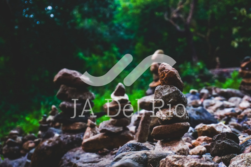 Submission of the Tax Opinion’s Annexes to INFONAVIT