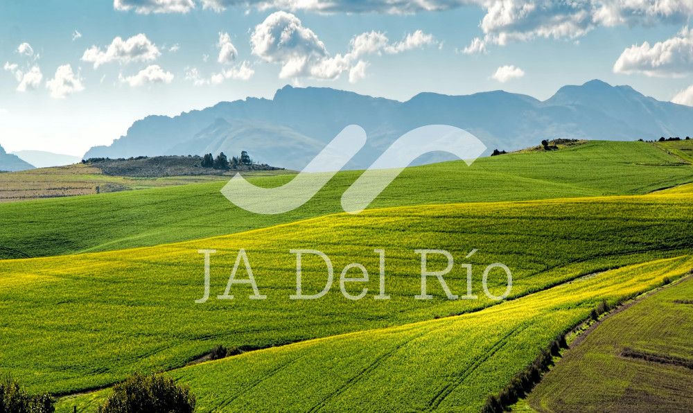 Tax Administration Service [in Spanish: SAT]-Decree regarding employment subsidy in 2024