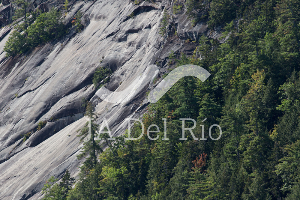 Changes in the CFDI version 4.0 affecting the payroll complement in 2022