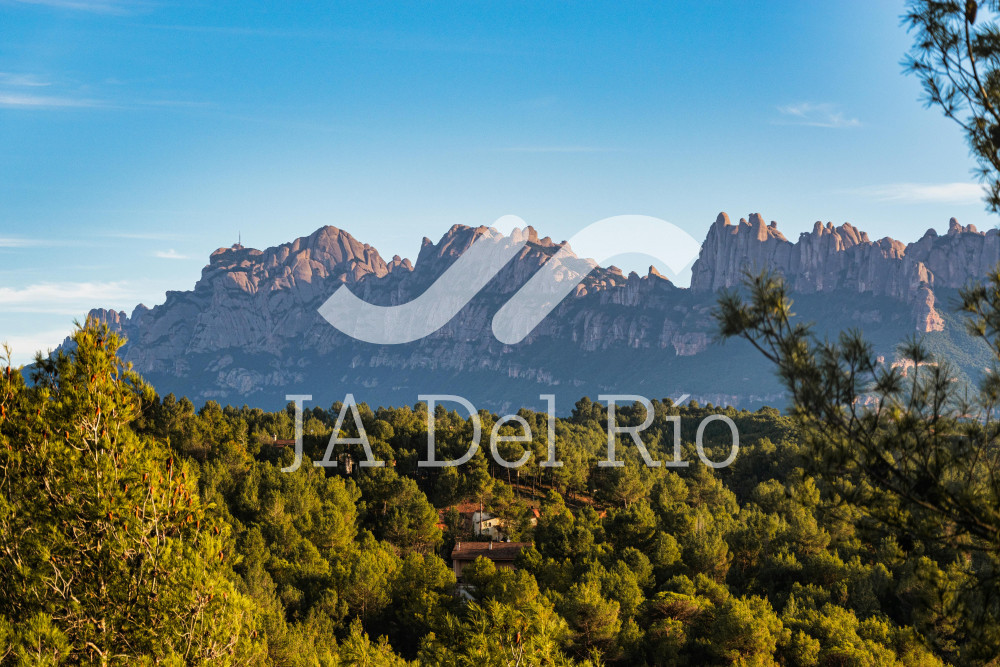 2025 ANNUAL TAX RETURNS FOR INDIVIDUALS