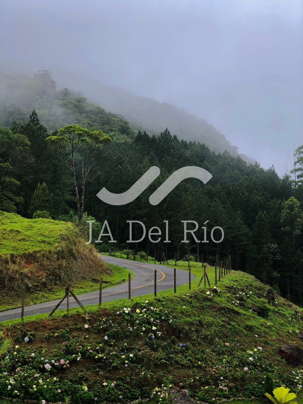 Most Common Errors When Filing Payroll with the Costa Rican Social Security Fund (CCSS) and How to Avoid Them