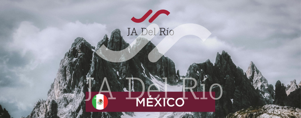 2026  年最低工资调整概览