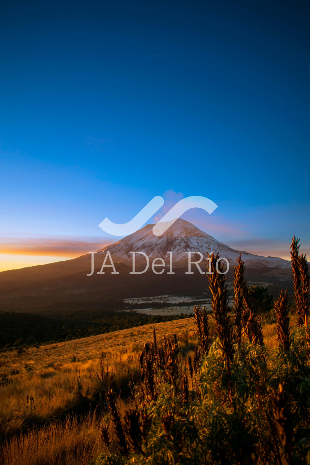 Plan Mexico, new tax incentive and additional deduction of expenses