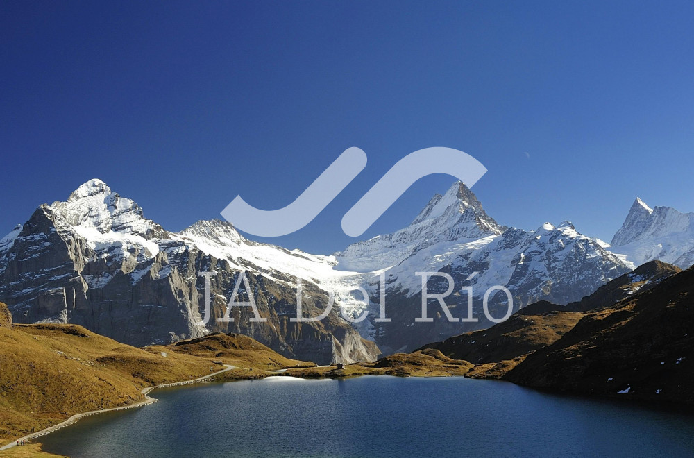 Plan Maestro 2026 - Claves de Fiscalización, Atención y Cumplimiento para el Ejercicio 2026.