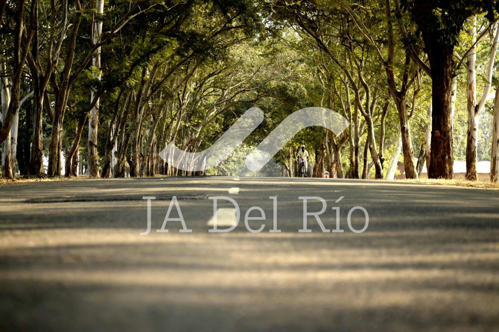 Flash News - Learn about the types of insurance offered by the National Insurance Institute and employment contracts in Costa Rica