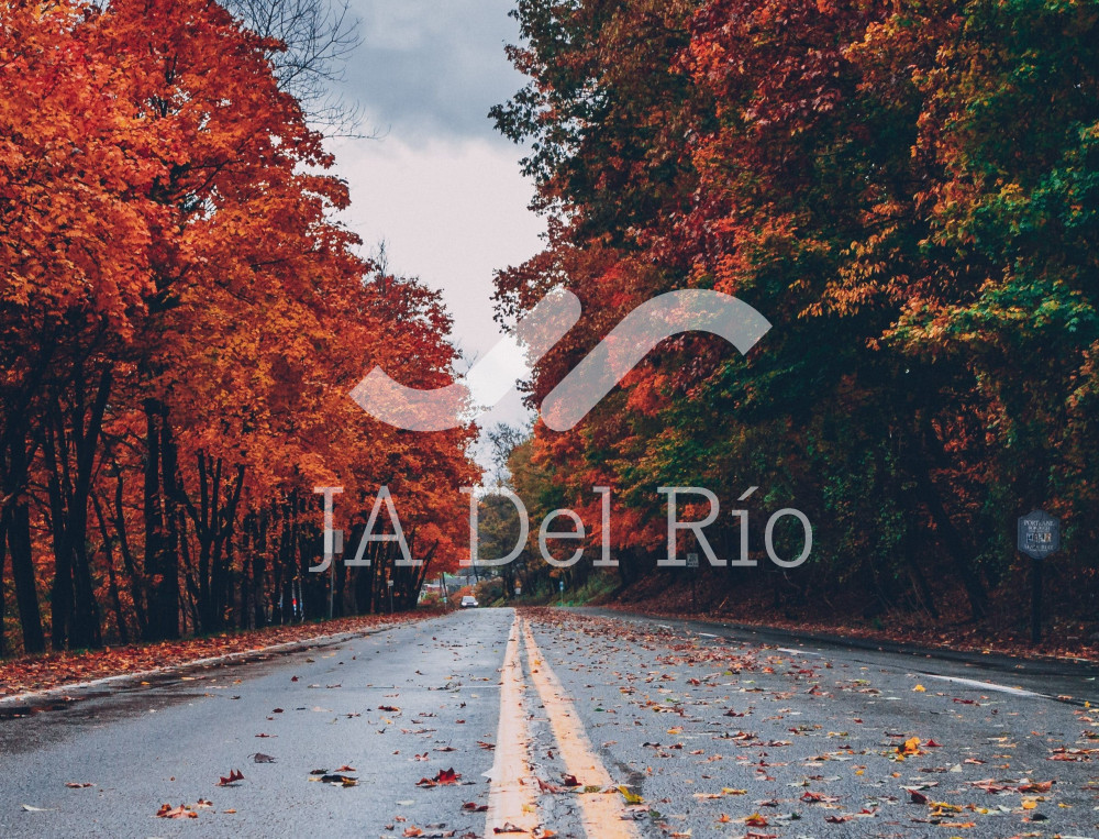 Flash News – Weekly news about CR regarding the low base rate, the Latin American Reserve fund payment (FLAR), exports, and trade agreement with the United Arab Emirates