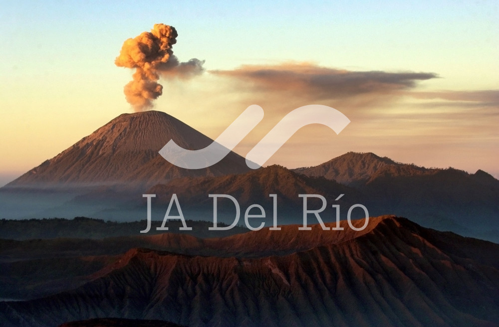 Employer Substitution in IMSS, what happens to disabled workers?