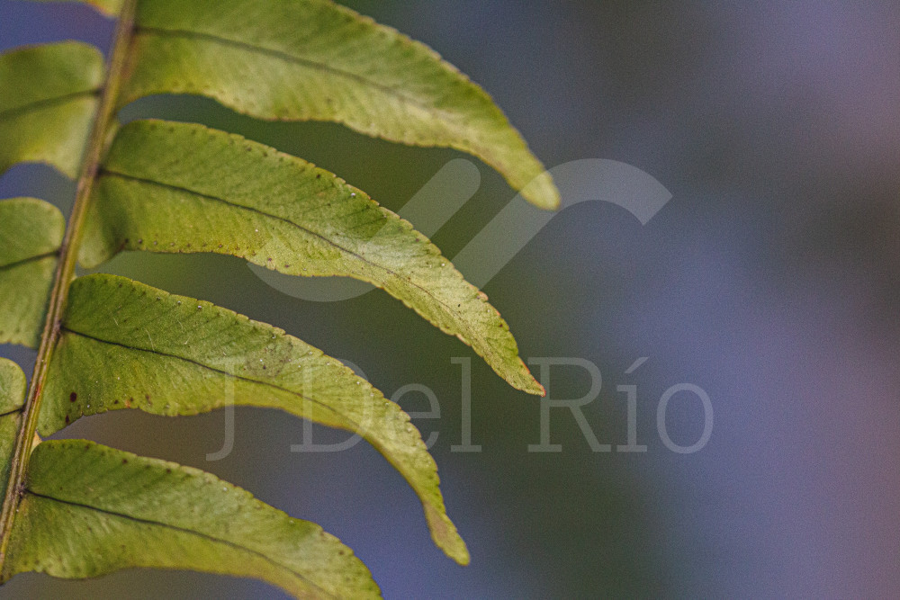 Flash News Contable|Financiero -Asuntos corporativos y de cumplimiento