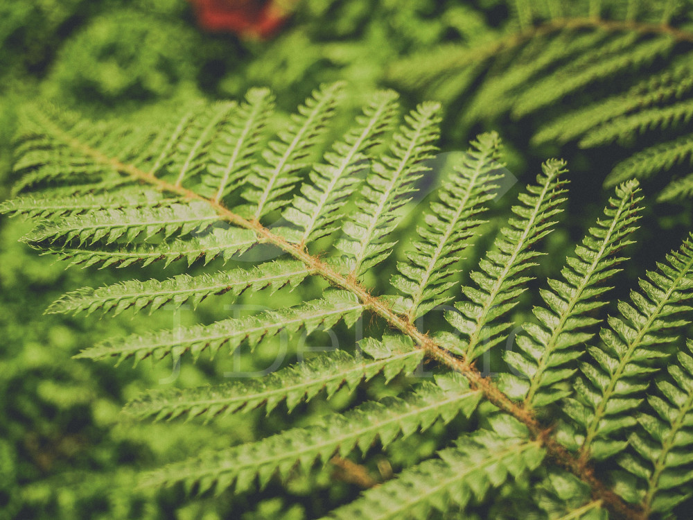 Flash news - Actualización semanal en materia financiera y de cumplimiento en Colombia