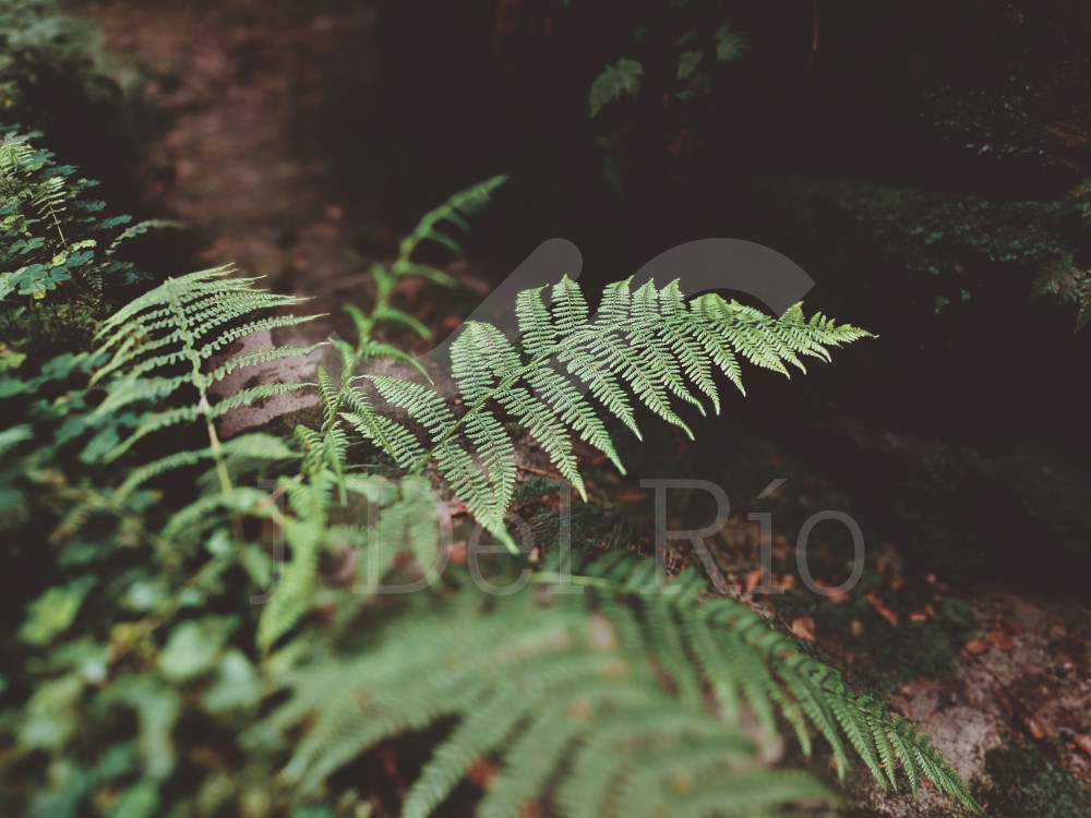 Flash news - News of the week on labor matters in Colombia