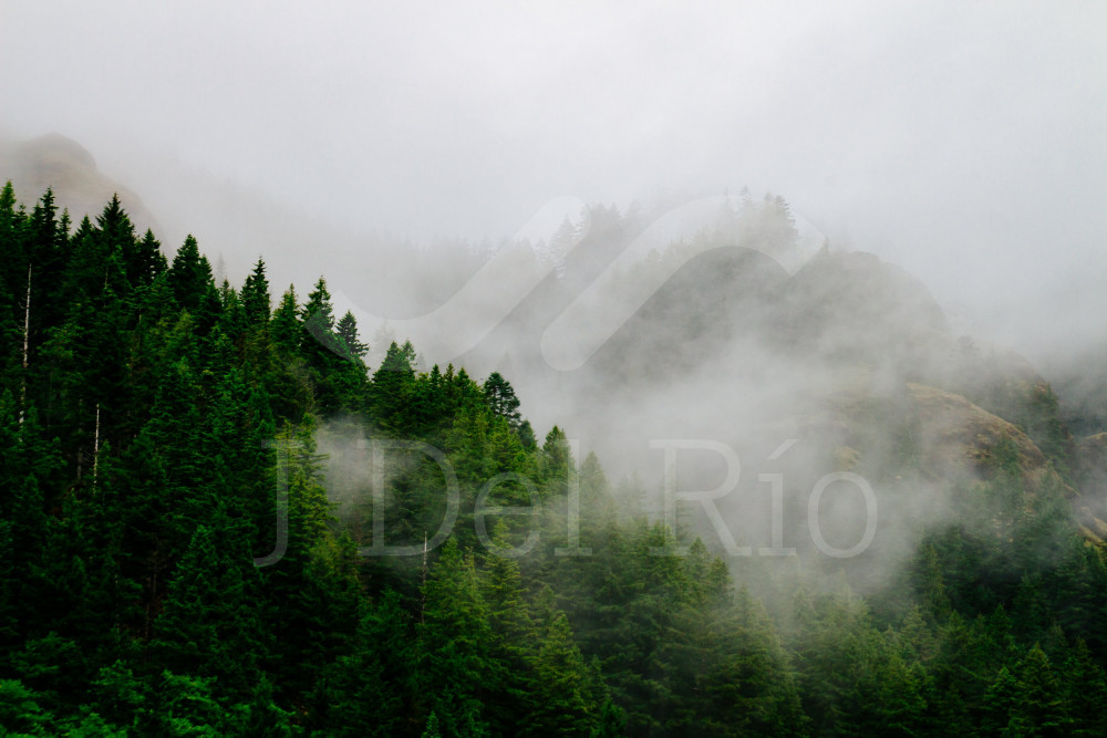 Conozca los últimos cambios normativos aplicables para el año 2021.