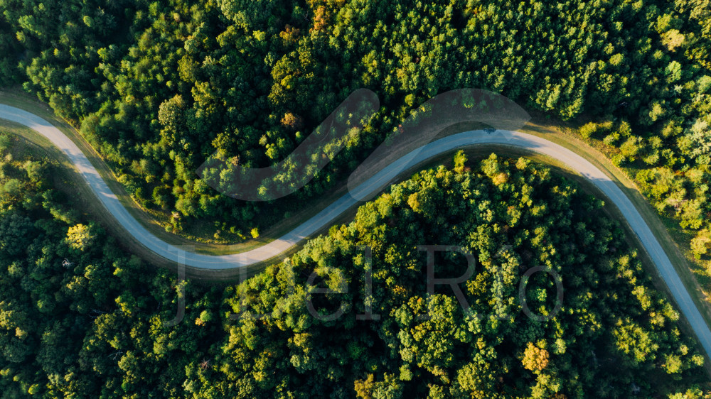 Flash News -Weekly update in Tax and accounting issues