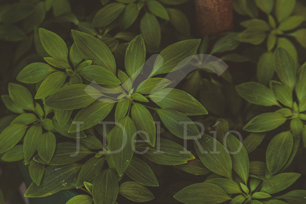 Flash News - Noticias semanales en materia laboral en Colombia