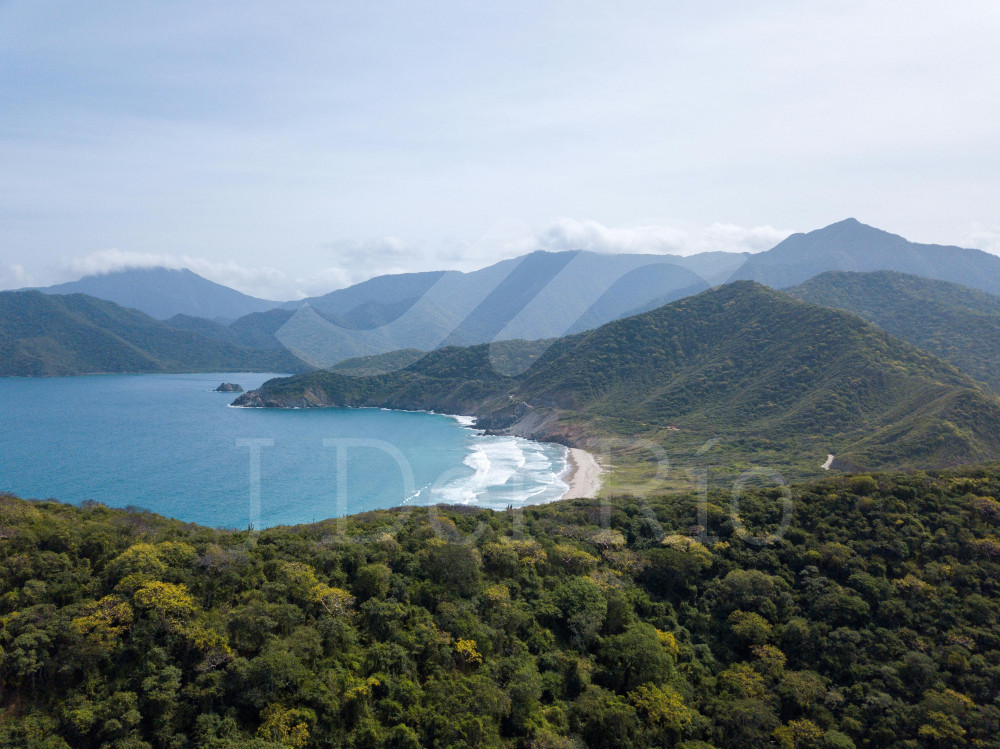 Key Update: Major District Taxpayers in Bogotá from January 2026 – Resolution DDI-029334 – Bogotá District Department of Finance (Colombia)