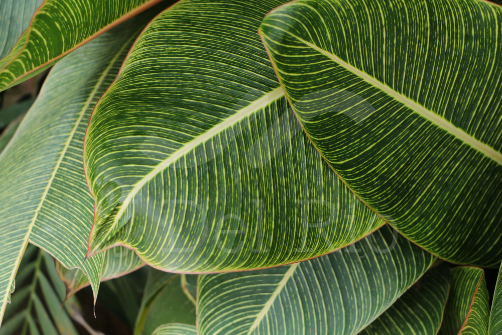 Flashnews - Actualizaciones en temas de impuestos para Colombia