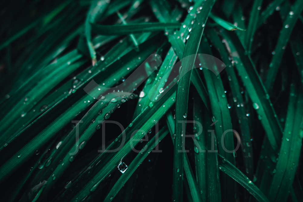 Flash News - Weekly update in the tax area in Colombia