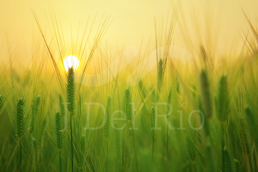 Flash news - Noticias semanales sobre asuntos Contables y de Cumplimiento en Colombia