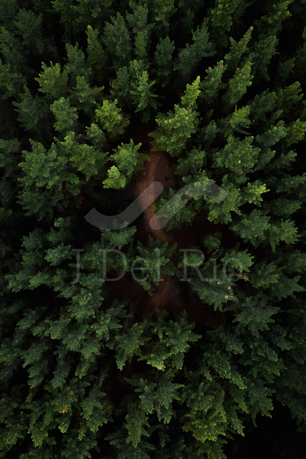 Flash news - Weekly news from Colombia on finance