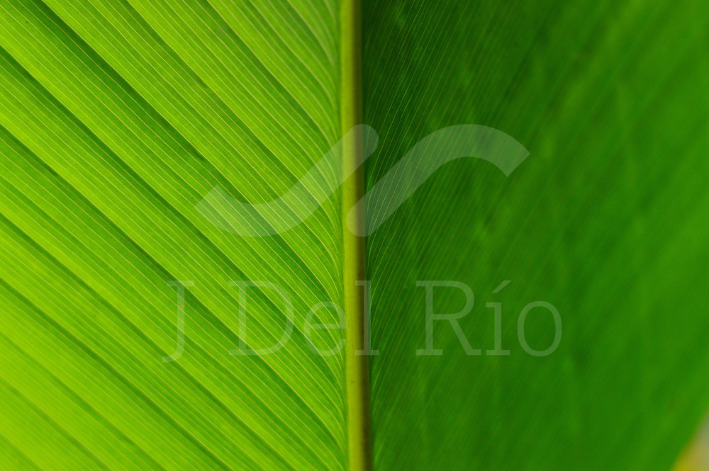 Flash News - Noticias semanales en materia de finanzas en Colombia