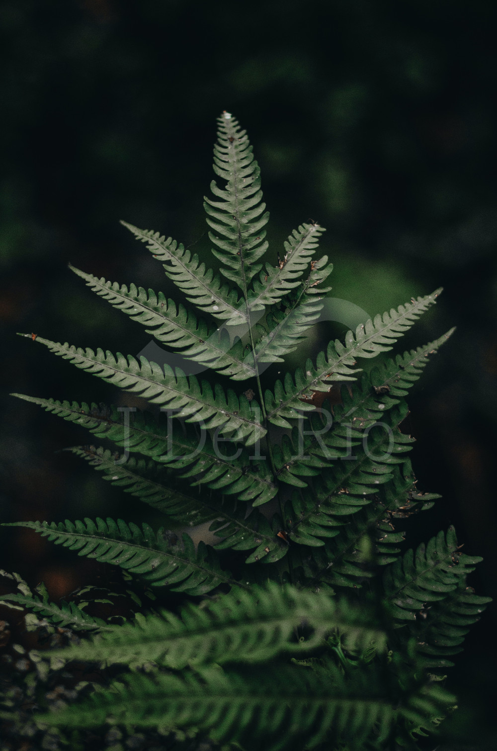 Flash news - Noticias semanales en temas financieros y de cumplimiento en Colombia