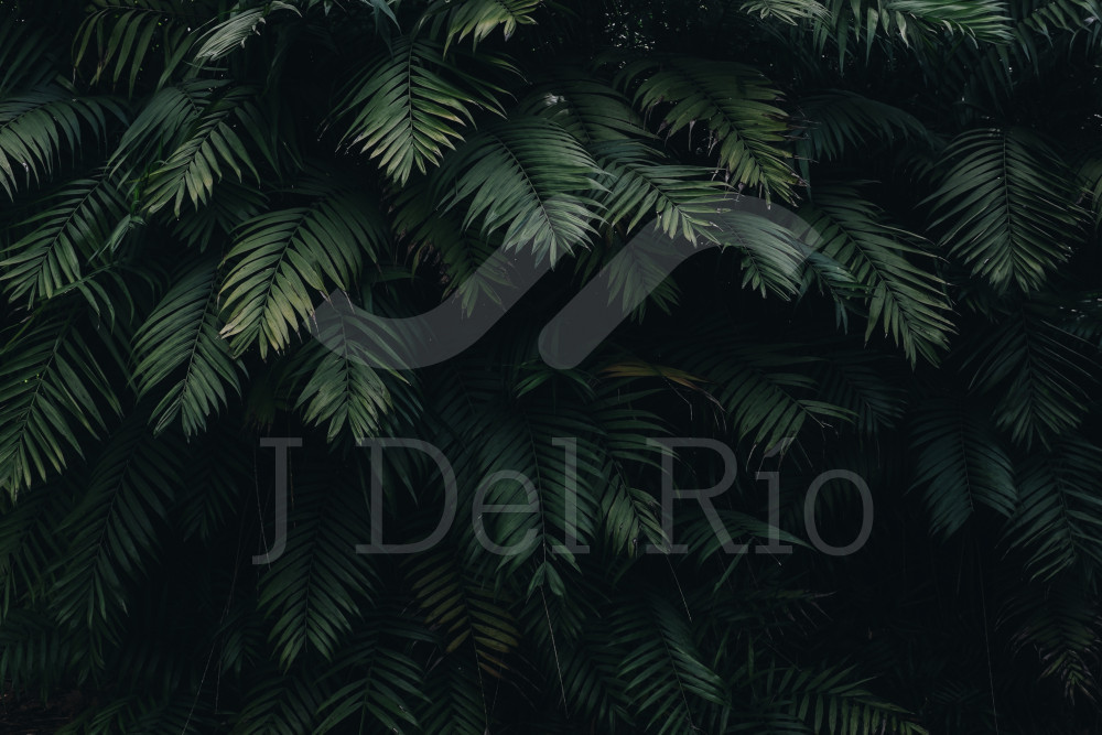 Flash news - Weekly news in the labor area in Colombia