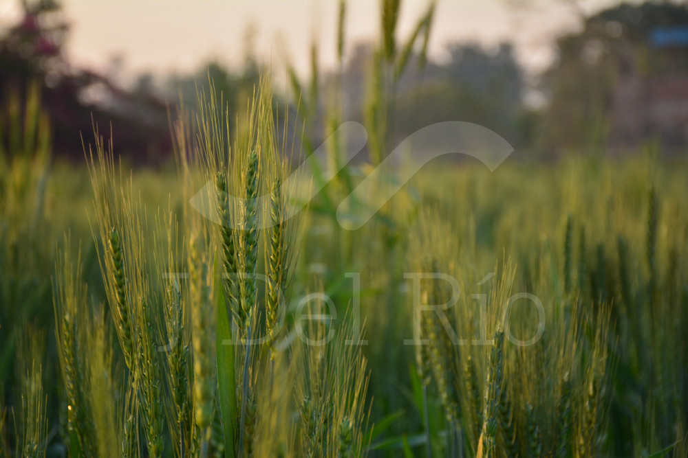 Flash News - Weekly update in the labor area in Colombia