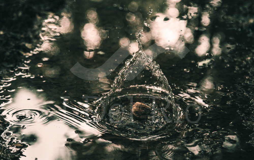 Flash News - Actualizaciones semanales en materia laboral colombiana