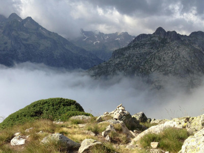 Annual Foreign Trade Operations Report (RAOCE)