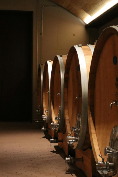 Tax Considerations of Section XXIII of Article 28 of the Mexican Income Tax Law (MITL) in Royalty and Trademark License Payments in the Alcoholic Beverages Sector