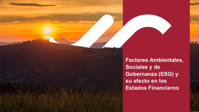 Factores Ambientales, Sociales y de Gobernanza (ESG) y su efecto en los Estados Financieros