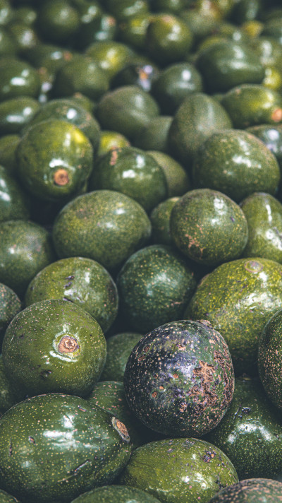 New requirements for avocado exports: Labor Certificate for Agro-exports (CLA)